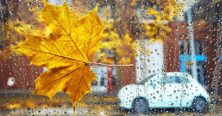 Қазан айы аяздан басталады - ауа райы болжамы