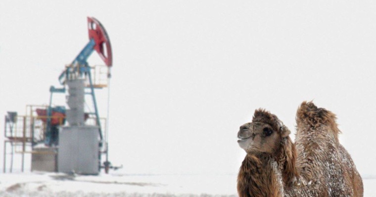 Ақтөбедегі Қытай компаниясы "млн теңге жалақы түбіртегіне" қатысты жауап берді