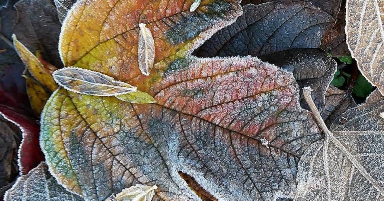 Алматы облысында минус үш градус аяз болады