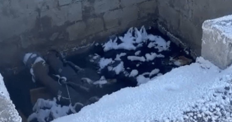 Сақылдаған сары аяз Саран тұрғындарын да жылусыз қалдырды