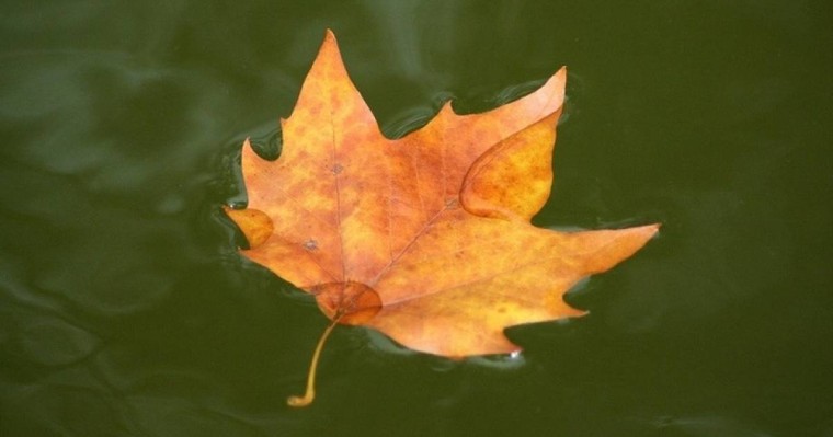 Қазақстанда 26-28 қыркүйекке арналған ауа-райы болжамы