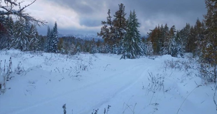 Шығыс Қазақстан облысында 12 сантиметр қар жауды