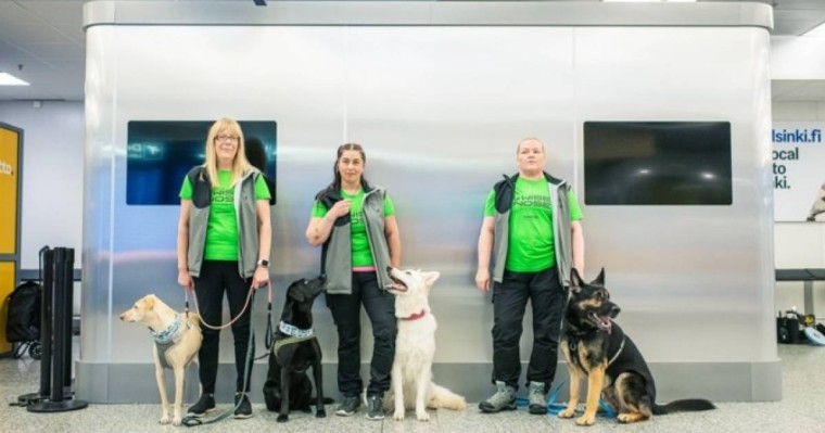 Хельсинки әуежайында ковидты анықтайтын иттер жұмыс істей бастады