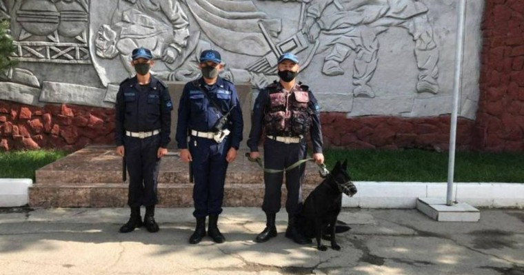 Қызметтік ит өзен жағасынан жоғалған алматылық әйелдің денесін тапты