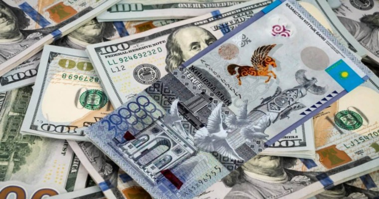 Шымкентте әйел сасқанынан ақшаны дәретханаға ағызып жіберген