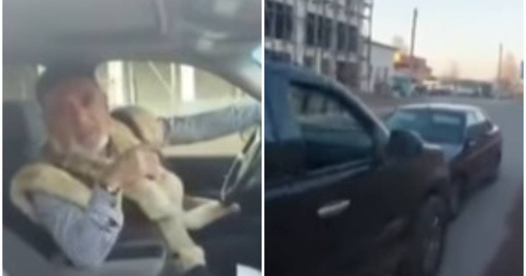 Шымкенттік "дерзкий" ақсақал 23 мың теңге айыппұл төлейді