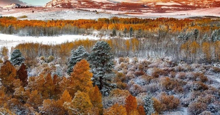 Жақын күндері Қазақстанда алғашқы қар жауады: 3 күнге ауа райы болжамы