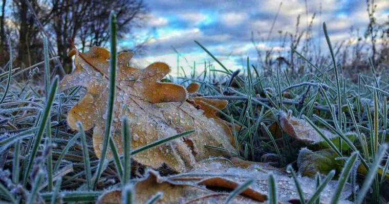 Алдағы күндері Қазақстанда -2 градусқа дейін үсік жүреді