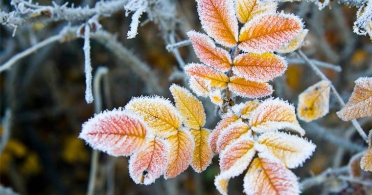 30 тамыз күні солтүстік облыстарда үсік жүреді