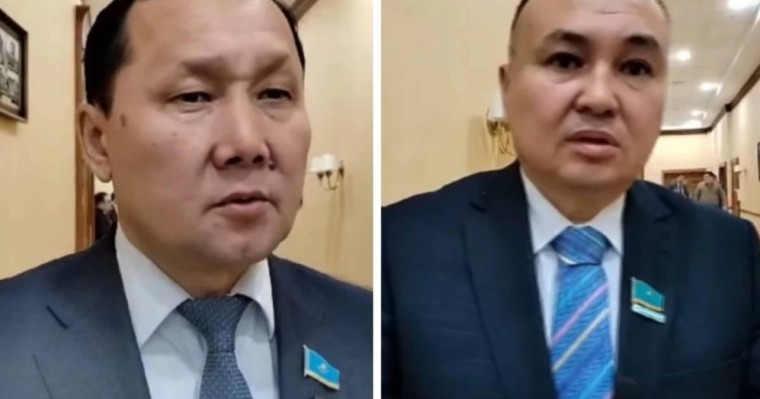 Депутаттар Болат Назарбаевқа арналған астың саяси астары бар екенін айтты