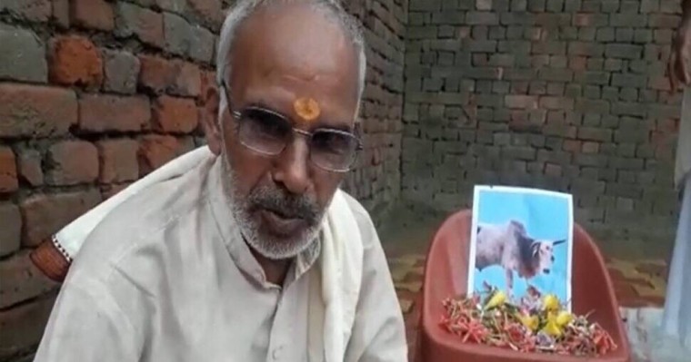 Ауыл тұрғындары өлген бұқа үшін 13 күн аза тұтты