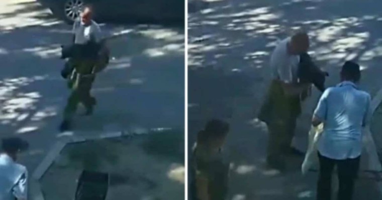 "Мөшекке салып, балғамен соққан": Қостанайда иесі итін аяусыз өлтірген