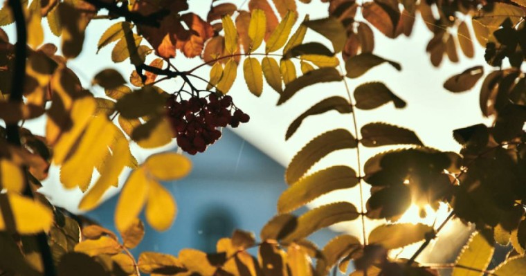 Қазақстандықтар қыркүйекте қанша күн демалады?