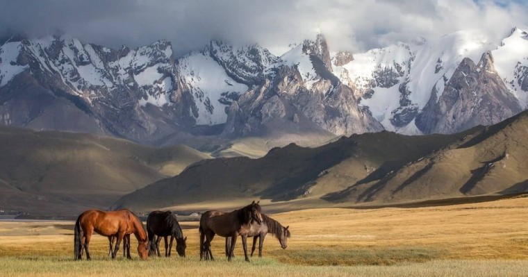 "Мысалы, Абай, Қызылжар облысы деп". Саясаткер үш облыстың атауы өзгеретінін болжады