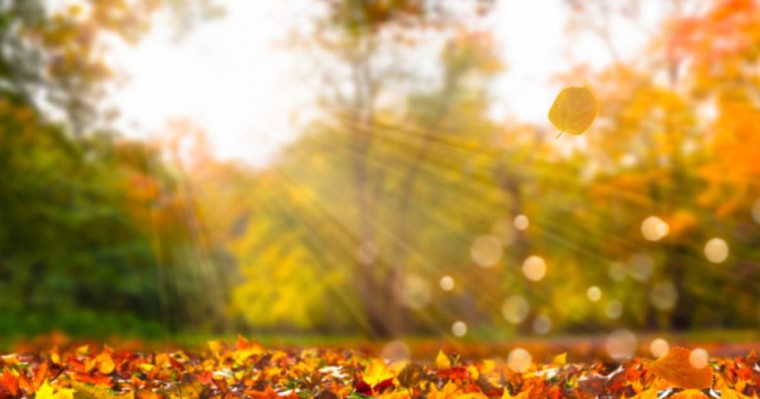 Температура жоғарлайды: Алдағы демалыс күндері ауа райы болжамы