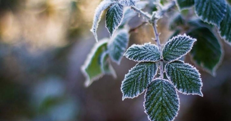 Қазақстанда демалыс күндері ауа температурасы 0-ге жақындайды