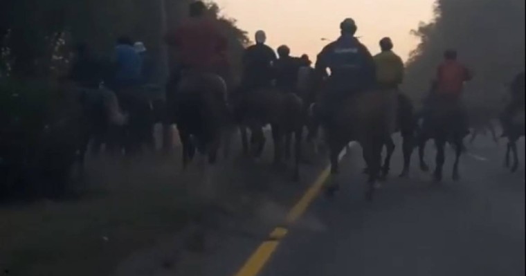 Ондаған көкпар шабандозы Алматы маңындағы трассаны жауып тастады (ВИДЕО)