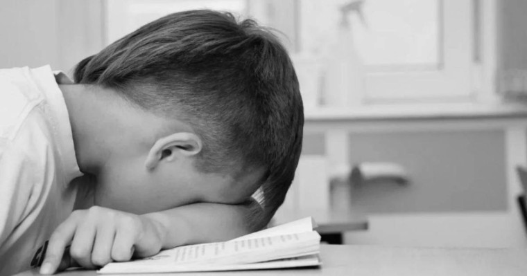 Павлодарда екінші сынып оқушысын жоғарғы сынып баласы зорлаған