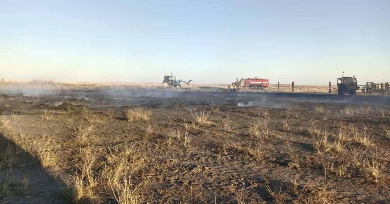 Абай облысында балалар сіріңкемен ойнап, 82 тонна шөпті өртеп жіберген