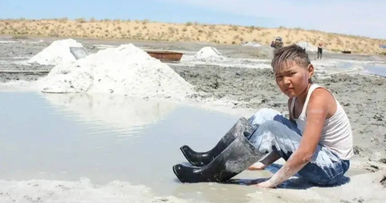 Үш бірдей қазақ фильмі «Азия Оскарын» жеңіп алды