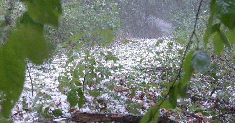 Елдің 11 өңірінде дабылды ескерту жарияланды