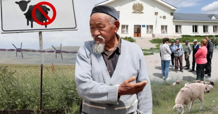 «Жайлауға әрең жеткен малдың көбі көтерем, қырылуға дайын тұр»: әйгілі Шәлкөде жайлауы жекеге өтіп кетті