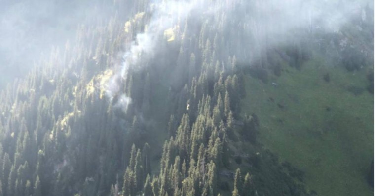 Алматы тауларында өрт шықты