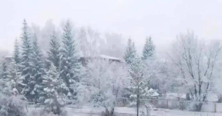 Солтүстік Қазақстан облысында алғашқы қар жауды