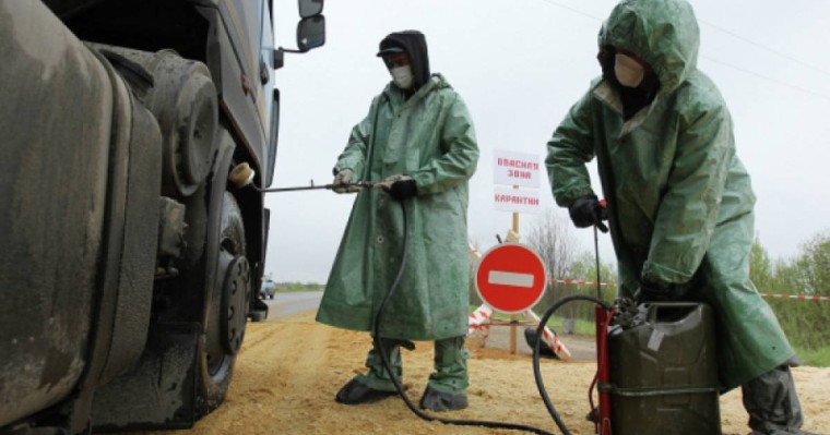 Қазақстан шекарасынан бубонды обаның қоздырғышы табылды