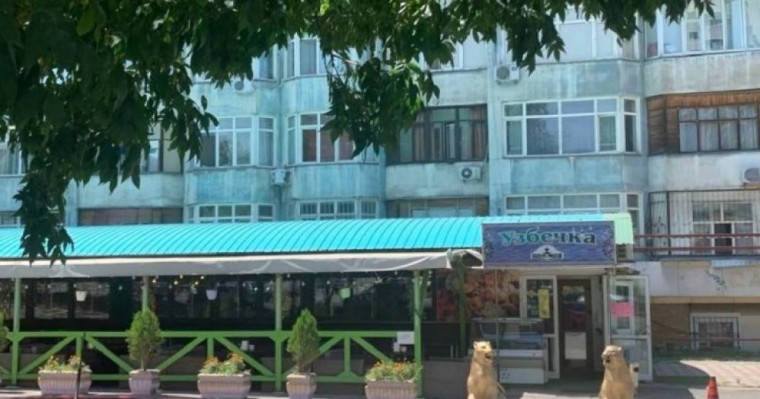 Қазақша сөйлейтін жерге бар: Алматыдағы “Узбечка” кафесі мемлекеттік тілде қызмет көрсетуден бас тартқан