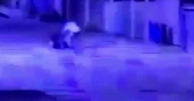 Алматыдағы ер адамның әйелді пышақтауы: оқиғаның мән-жайы айтылды