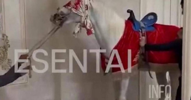 Сүндет тойда жылқыға қатыгездік көрсеткен ер адам жауапқа тартылды (видео)