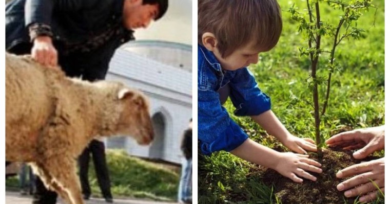 "Құрбан шалғанша, ағаш отырғызайық": Танымал мәдениеттанушы шариғатқа өзгеріс енгізуді ұсынды