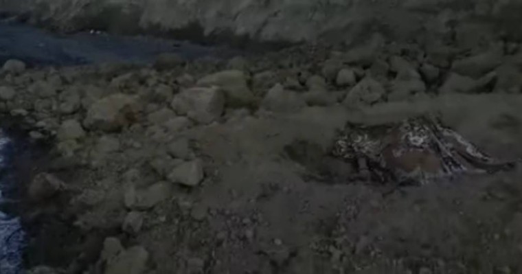 Алакөлде 17 жастағы қыздың қаза болуы: Оқиға орнынан видео жарияланды