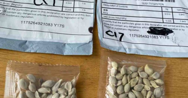 Тұрғындарға Қытайдан белгісіз сәлемдеме келіп жатыр: Қауіпті ме?