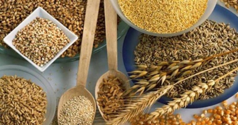 Қазақстан дәнді дақылдардың экспорттық нарықтарын кеңейтуде