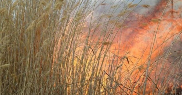 Өте қауіпті қылмыскерлер жатқан «Қара бүркіт» колониясының жанында өрт шықты