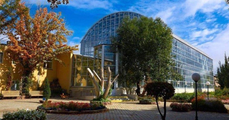 «Сепаратизм емес пе?» Петропавлдағы Ботаникалық бақты басшысы Татарстанға көшіруді сұраған