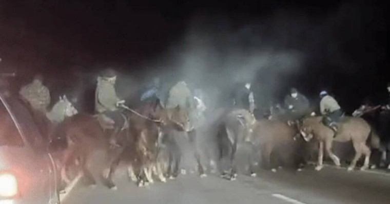 Алматыда көкпар ұйымдастырған азамат 7 тәулікке қамалды