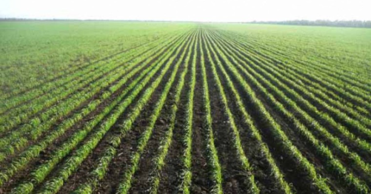 Байден егістік алқапқа байланысты қақтығыстар болуы мүмкін екенін ескертті