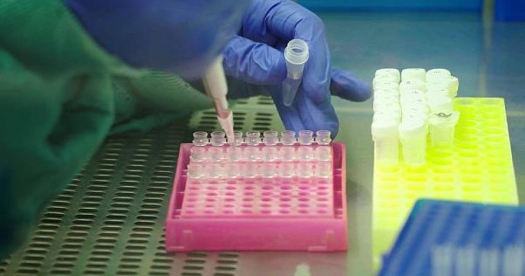 Қазақстанда коронавируспен ауырғандар саны 75 мыңнан асты