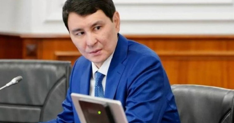 Қаржы министрлігі "Ерұлан Жамаубаевтың полицейлерге ұсталған" суретіне қатысты пікір білдірді (фото)