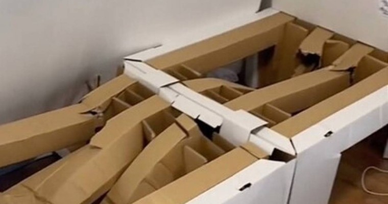 Израильдық спортшылар олимпиада ауылындағы антисекс-төсекті сындырды