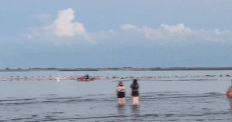 Барлығы қол ұстасып, жоғалған баланы іздеген: Қапшағайдағы видео желідегілердің жүрегін елжіретті