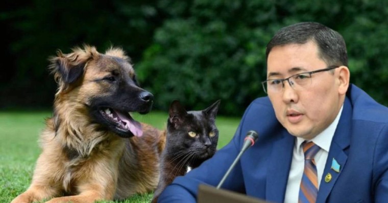 "Мен де көбейгім келеді": Мәжіліс депутаты Баққожаев үй жануарларын стерильдеу әдісінің тиімділігіне күмәнданды