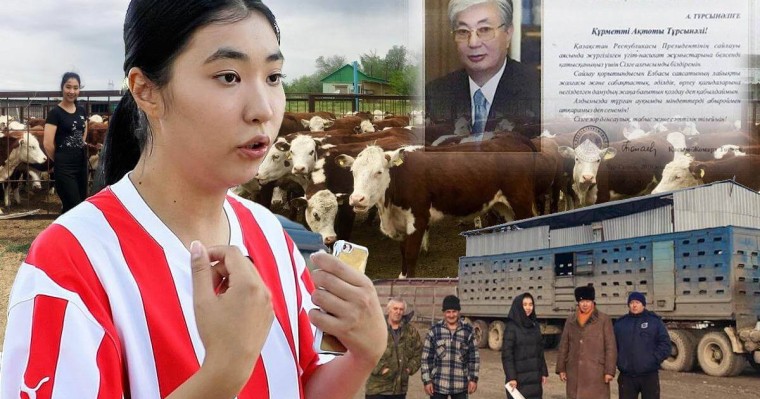 Алматы облысында кәсіпкер қыздың малын тәркілеген сот орындаушының үстінен қылмыстық іс қозғалды