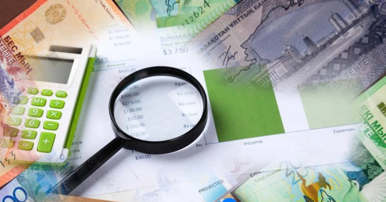 Жеке тұлғалардың кірістерін декларациялаудан босату ұсынысы қолдау тапты