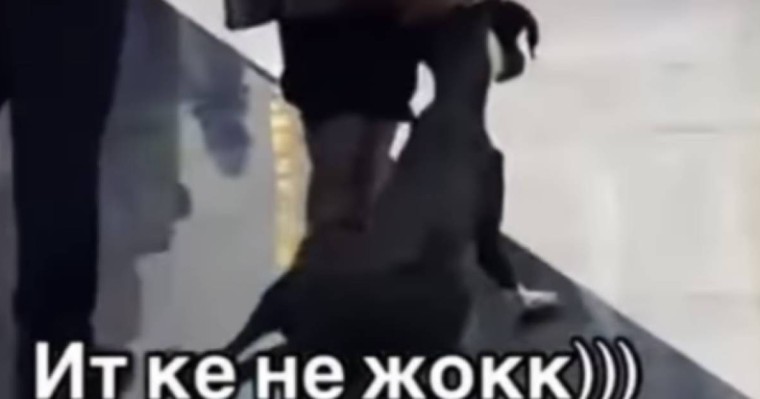 «Мал кім бұл жерде?». Ресторанда ат жетектеп, итті сүйрей шыққан қазақтар сынға қалды