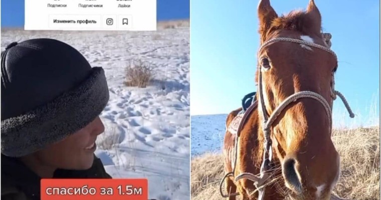 Жамбыл облысының 15 жастағы шопаны TikTok-та танымал болды