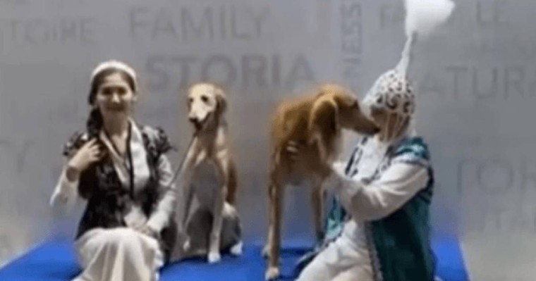 Қазақтың тазылары Женевадағы әлем чемпионатында жеңімпаз атанды